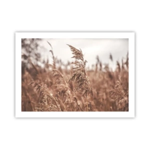 Poster - Autumn Has Arrived in the Fields - 70x50 cm