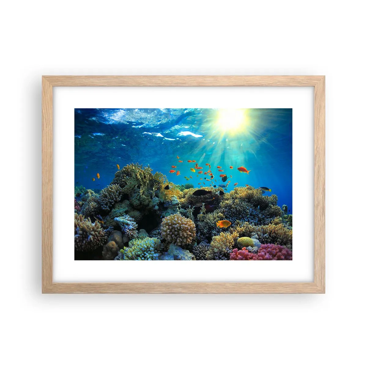 Poster in light oak frame - Underwater Treasures - 40x30 cm
