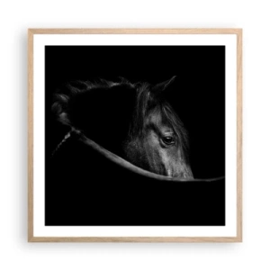 Poster in light oak frame - Black Prince - 60x60 cm