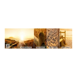 Photo Wallpaper Sample Standard Eco - Through the Dune, Towards the Sun - Landscape, Beach, Sunset - 100x30 cm
