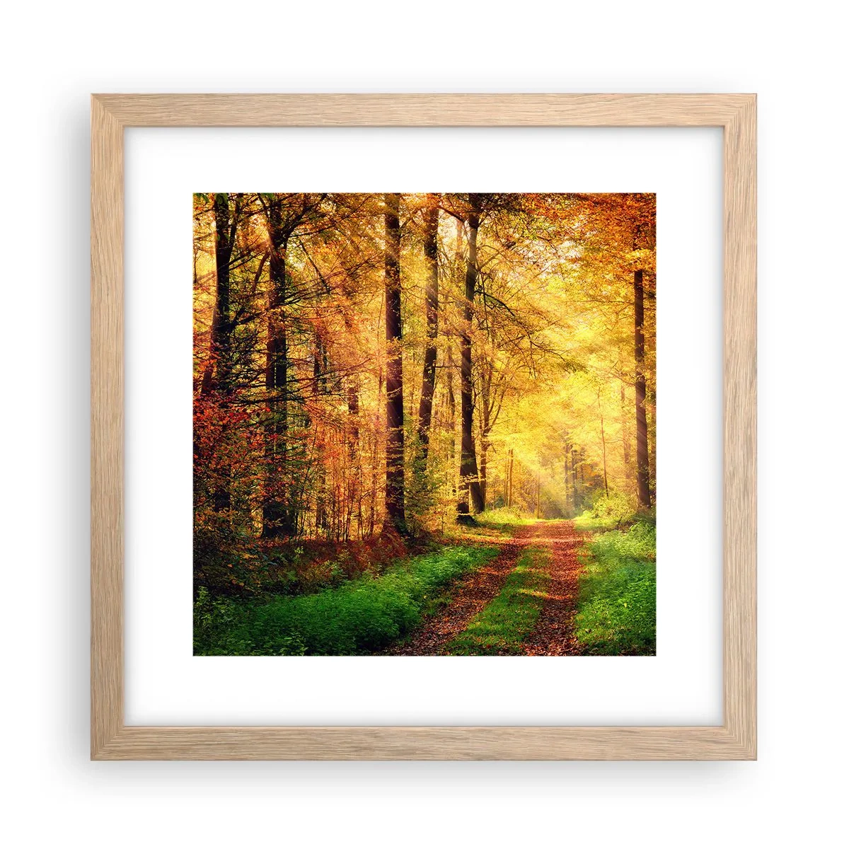 Poster in light oak frame - Forest Golden silence - 30x30 cm