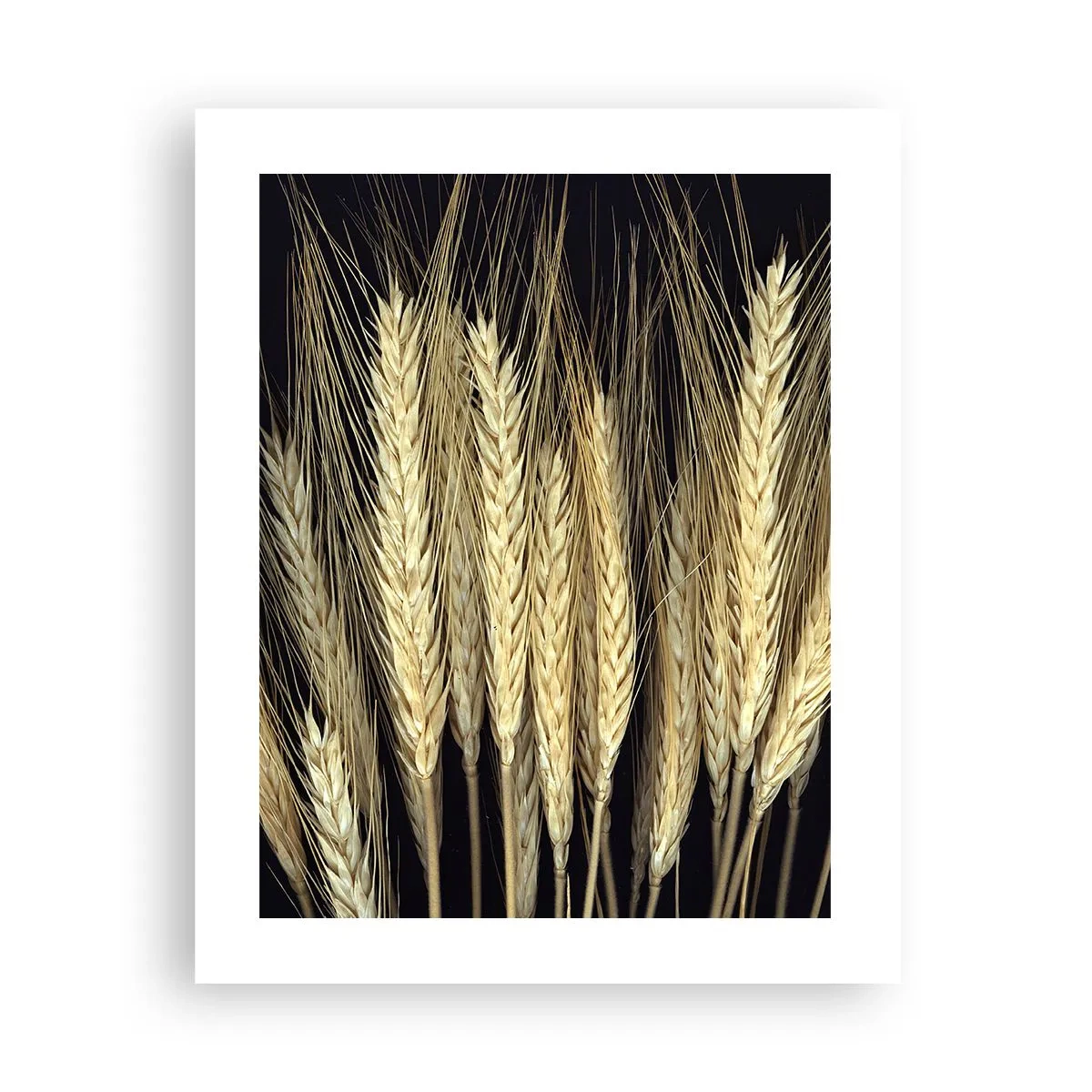 Poster - Rustic Magic - 40x50 cm