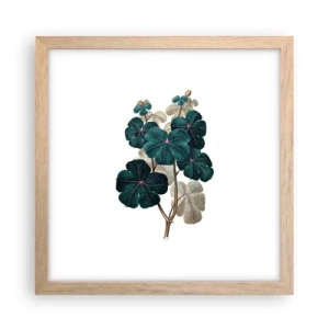 Poster in light oak frame - From the Old Herbarium - 30x30 cm