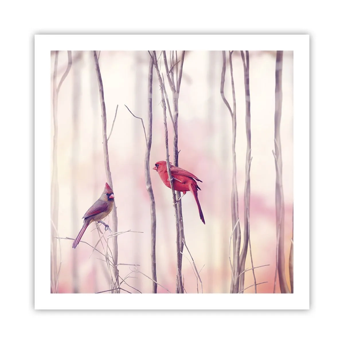 Poster - Tale of a Pink Forest - 60x60 cm