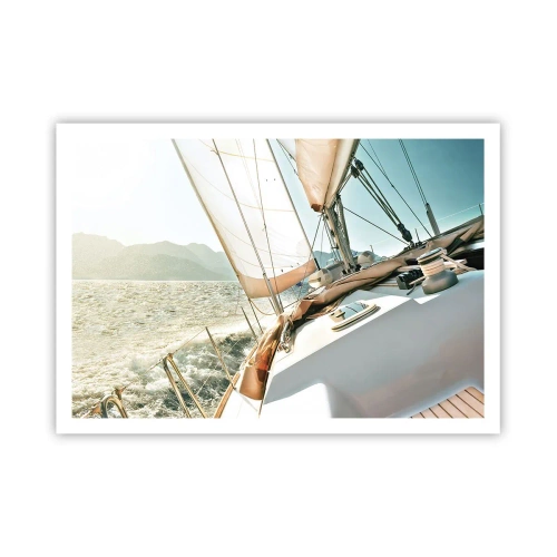 Poster - Full Sail - 100x70 cm
