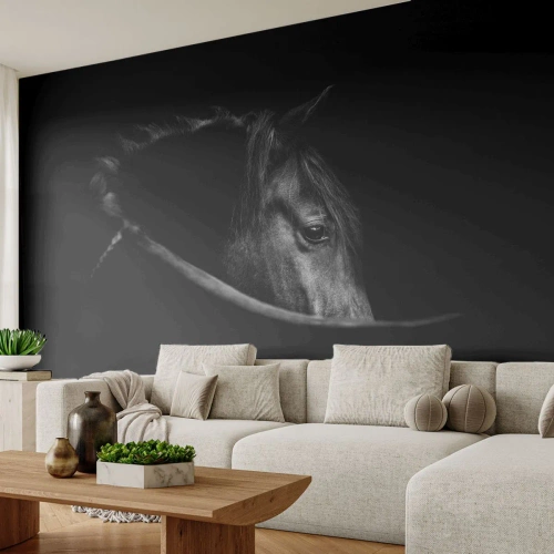 Photo Wallpaper Premium Canvas - Black Prince - Horse, Animal, Artistic - 500x350 cm