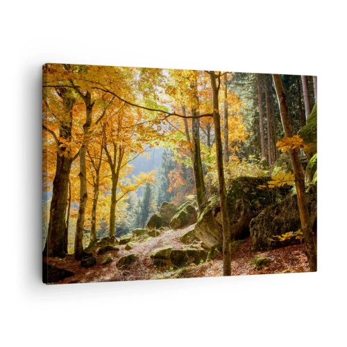 Canvas picture - An autumn forest full of golden leaves and sunlight - 70x50cm - Time for Rest - Modern wall decoration for the living room and bedroom ARTTOR