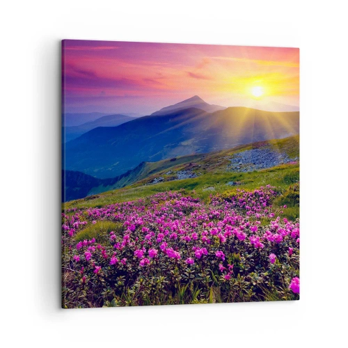 Canvas picture - Surrounded by Mountain Pine and Herbs - 50x50 cm