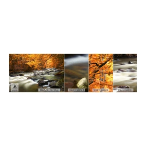 Photo Wallpaper Sample Self-Adhesive Deluxe Sticker - Brook in a Golden Forest - Landscape, Forest, Mountain Stream - 100x30 cm