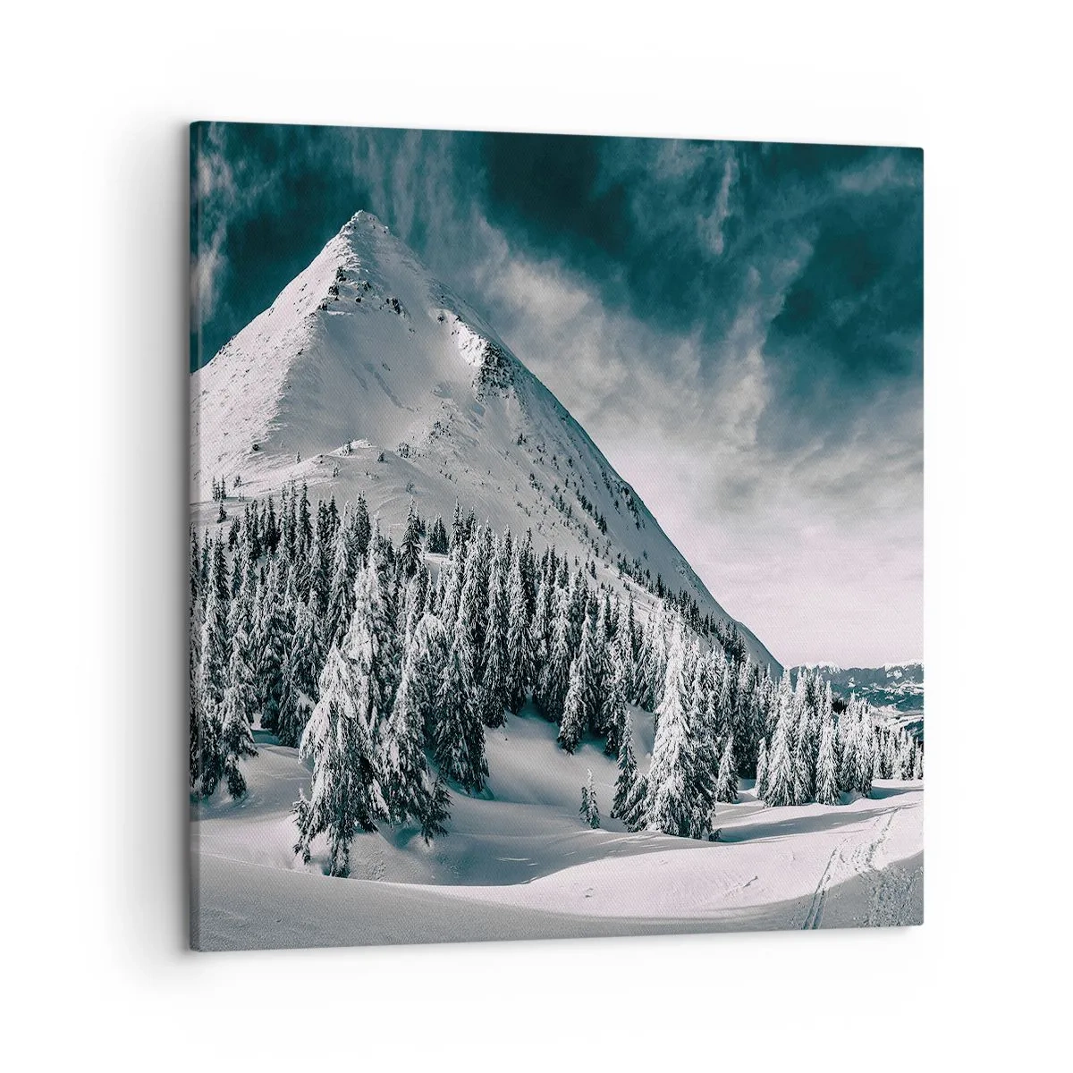 Canvas picture - Land of Snow and Ice - 50x50 cm