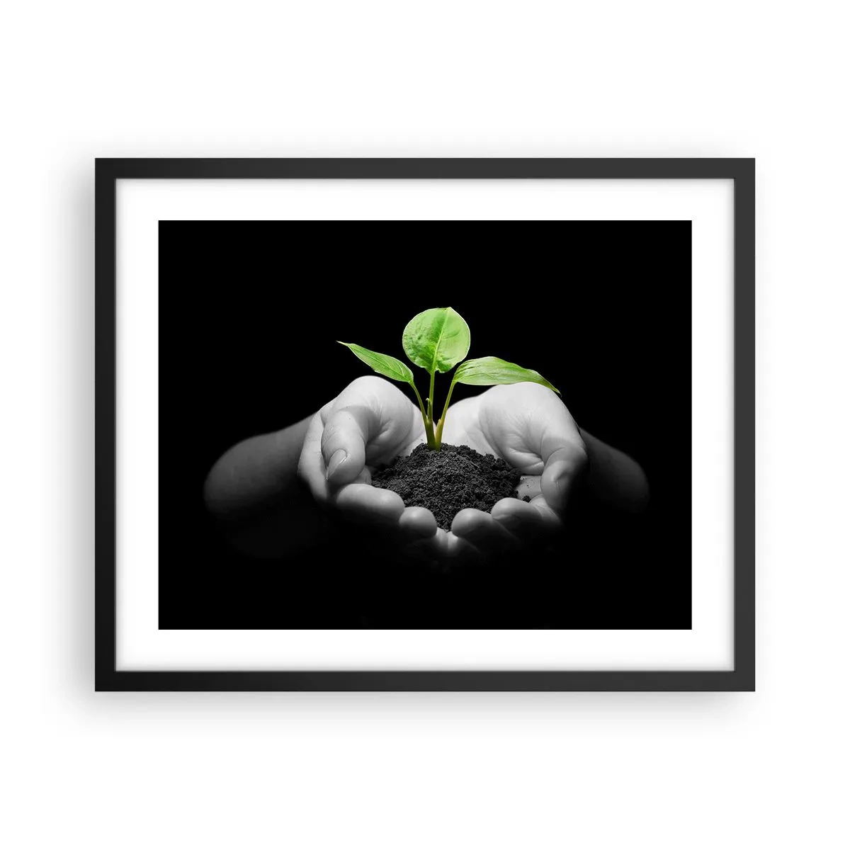 Poster in black frame - I Love Nature, I Protect It - 50x40 cm