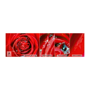 Photo Wallpaper Sample Premium Sand - In Dew Drops - Flowers, Red Rose, Love - 100x30 cm