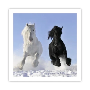 Poster - Black and White Gallop - 60x60 cm