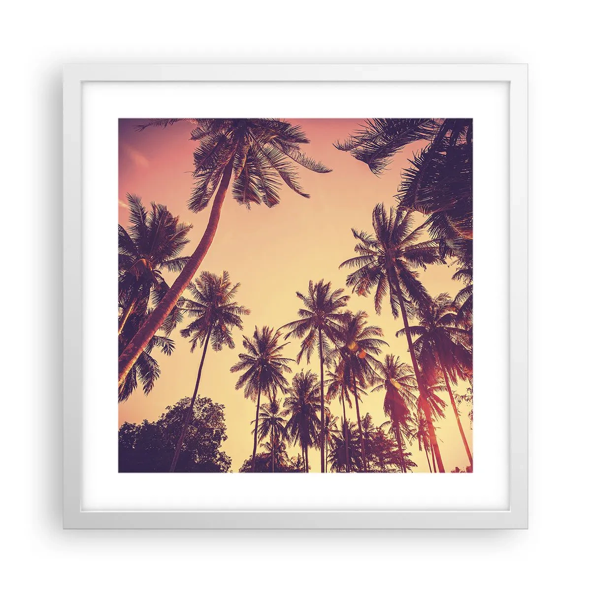Poster in white frmae - Tropical Variation - 40x40 cm