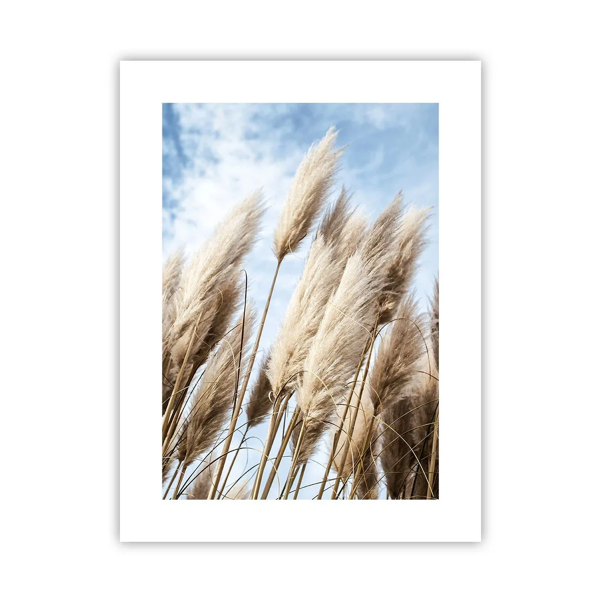 Poster - Caress of Sun and Wind - 30x40 cm