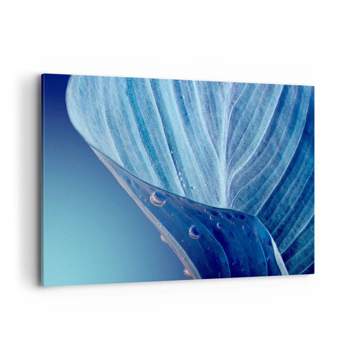 Canvas picture - Hidden Drops of Blue - 120x80 cm