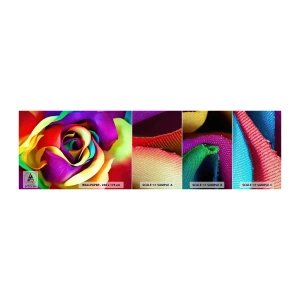 Photo Wallpaper Sample Premium Canvas - It's Impossible - Abstraction, Flower, Colorful Rose - 100x30 cm