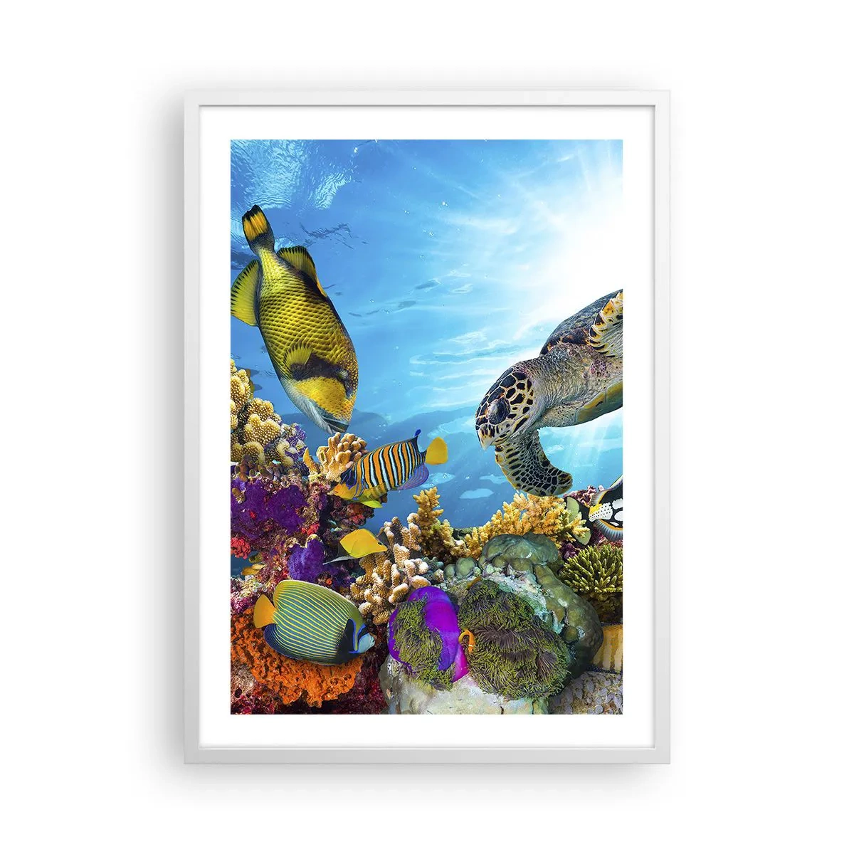 Poster in white frmae - Coral Promenade - 50x70 cm