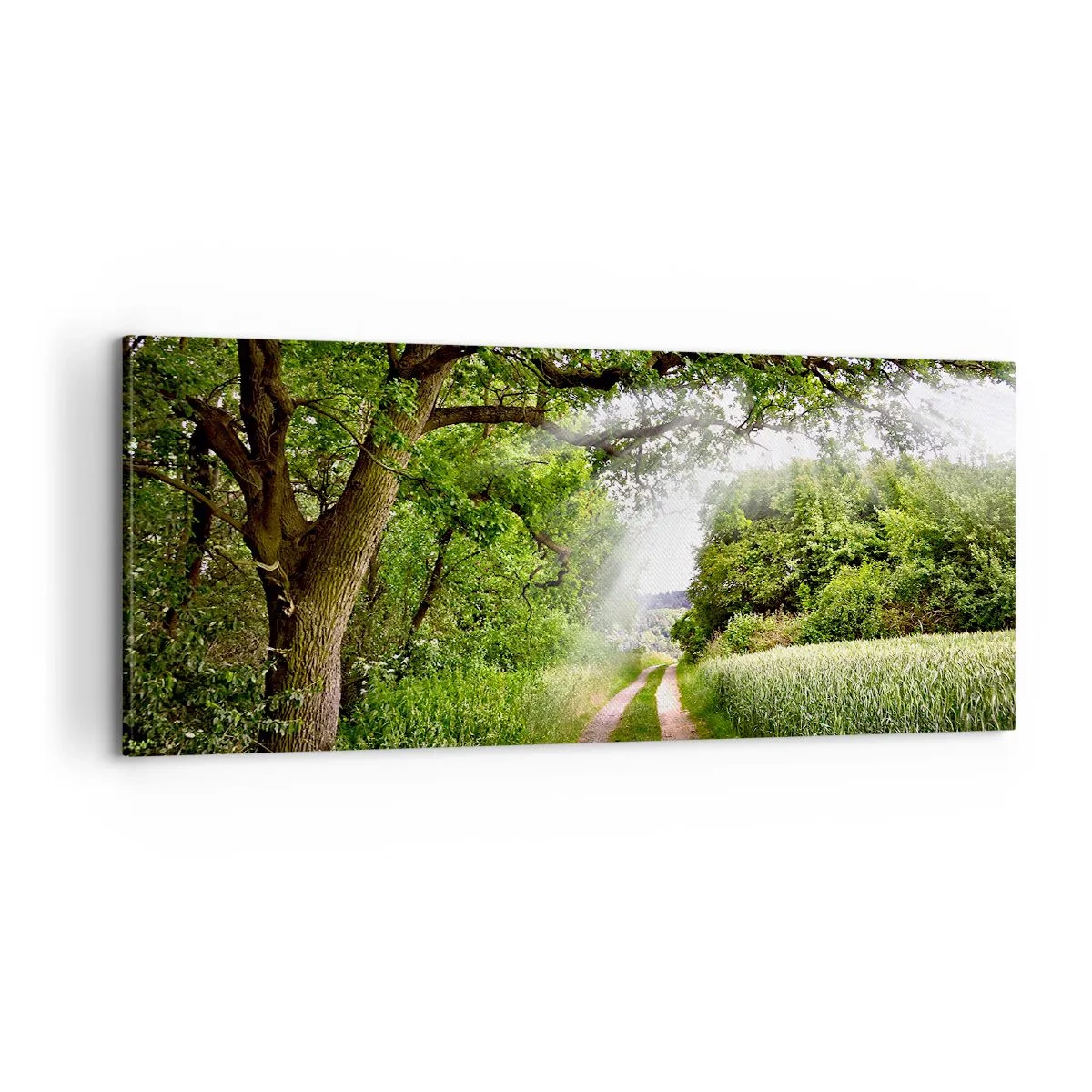 Canvas picture - Et in Arcadia Ego - 100x40 cm