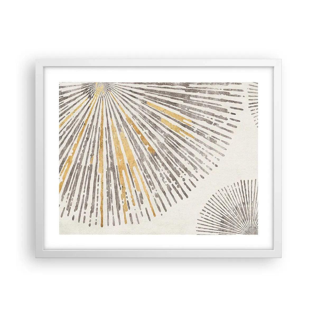 Poster in white frmae - Beauty of a Ray - 50x40 cm