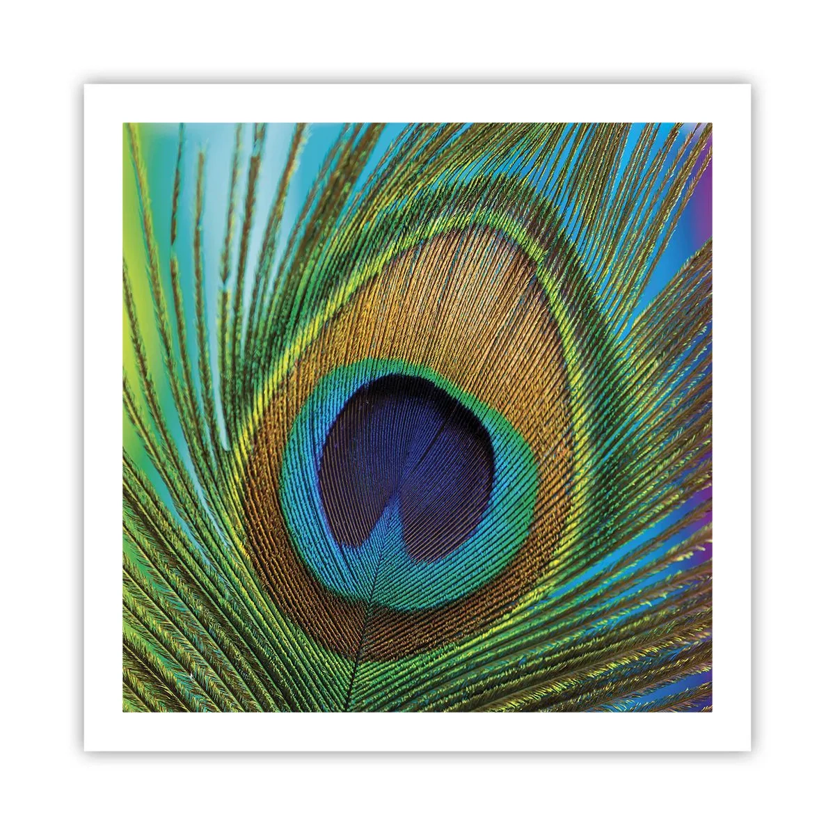 Poster - Eye to Eye - 60x60 cm