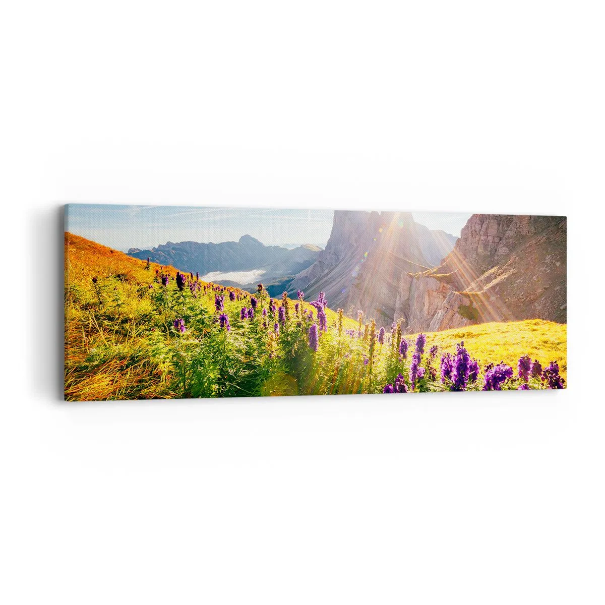 Canvas picture - Secret Life of Herbs - 90x30 cm
