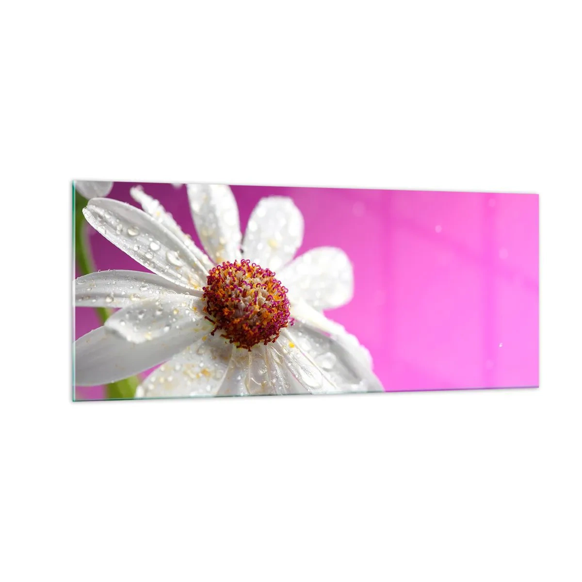 Glass picture - Modest in Its Beauty - 100x40 cm