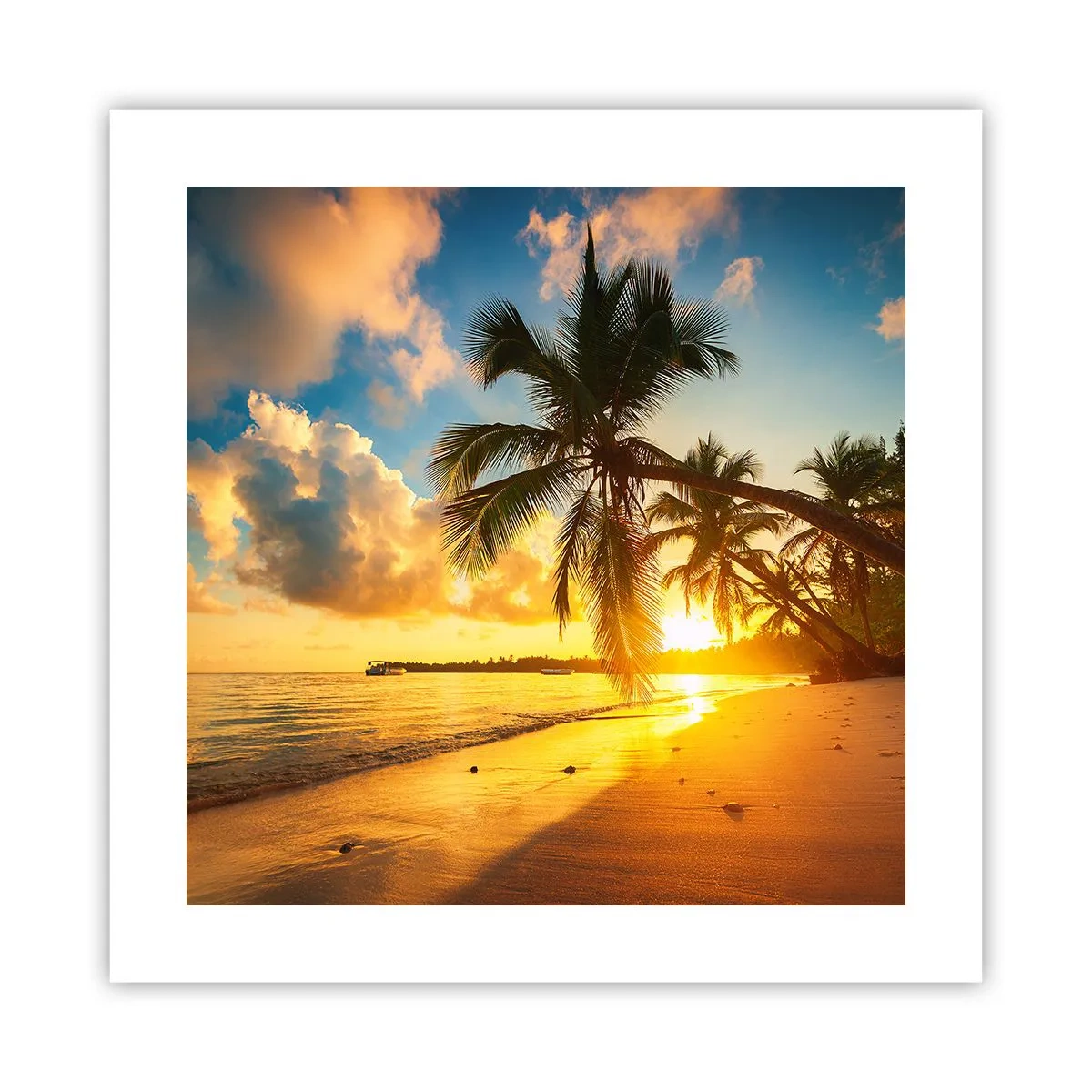 Poster - Caribbean Dream - 40x40 cm