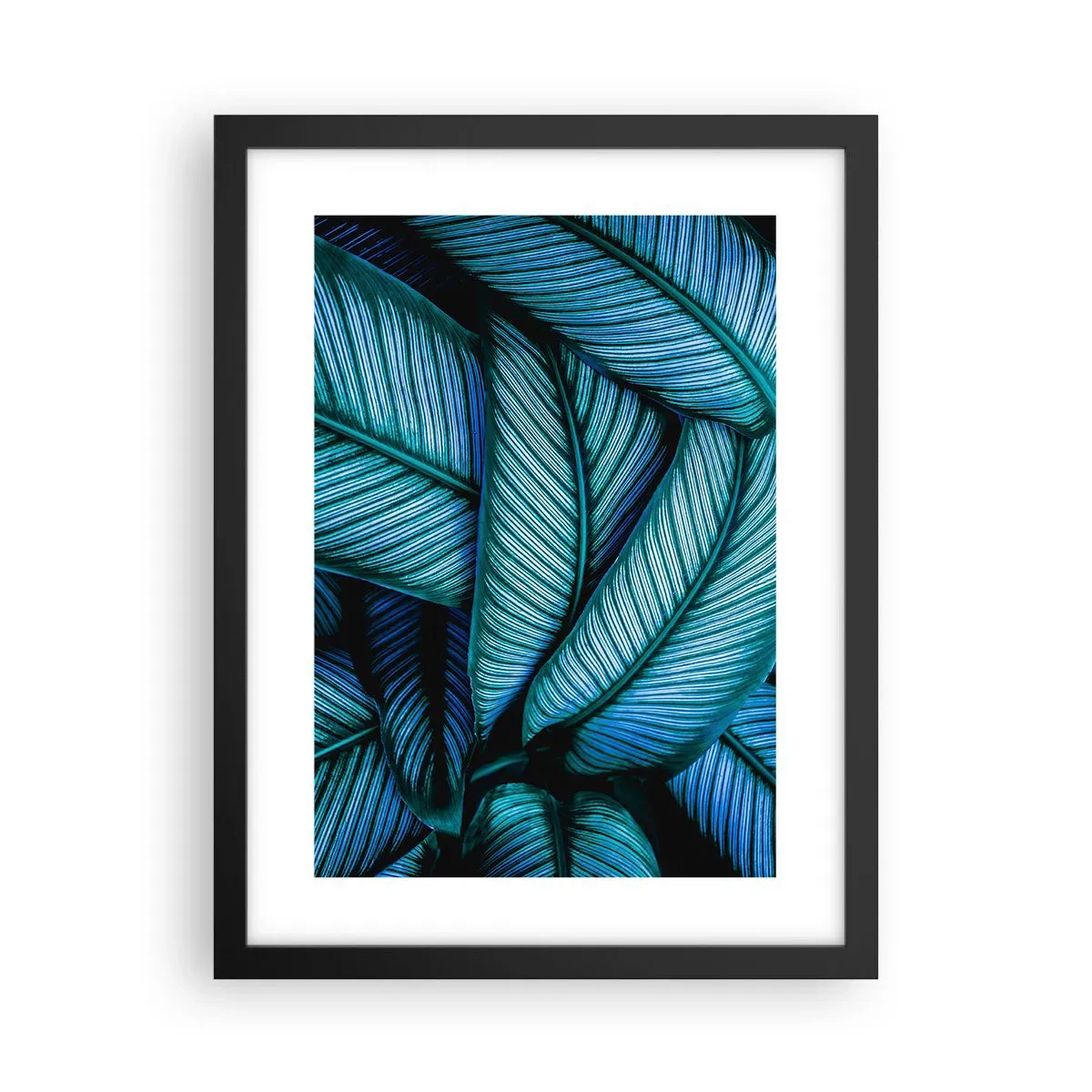 Poster in black frame - Lifelines - 30x40 cm