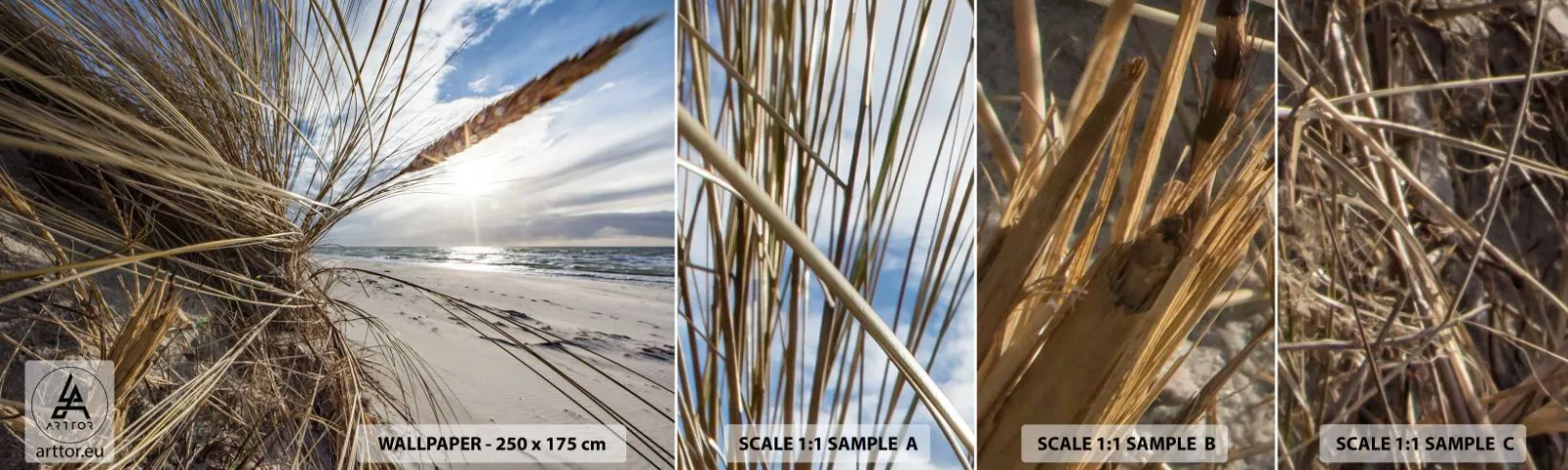 Photo Wallpaper Sample Standard Eco - Enounter of the Elements - Landscape, Sea, Dunes - 100x30 cm