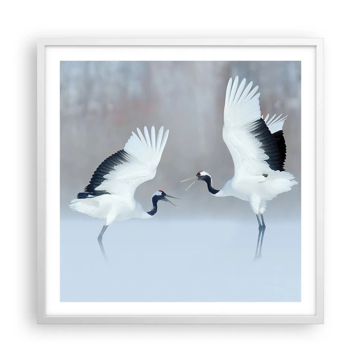 Poster in white frmae - Dance in the Fog - 60x60 cm