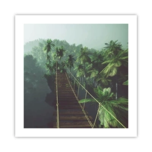 Poster - Hanging Bridge in the Green - 50x50 cm