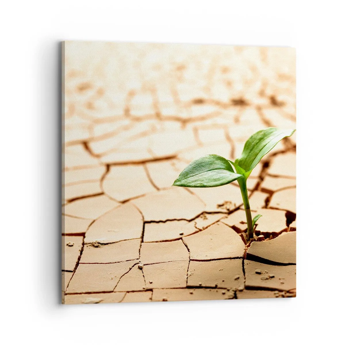 Canvas picture - Untamed Life Force - 70x70 cm