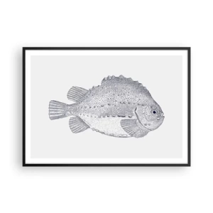 Poster in black frame - For Natural Scientist's Album - 100x70 cm