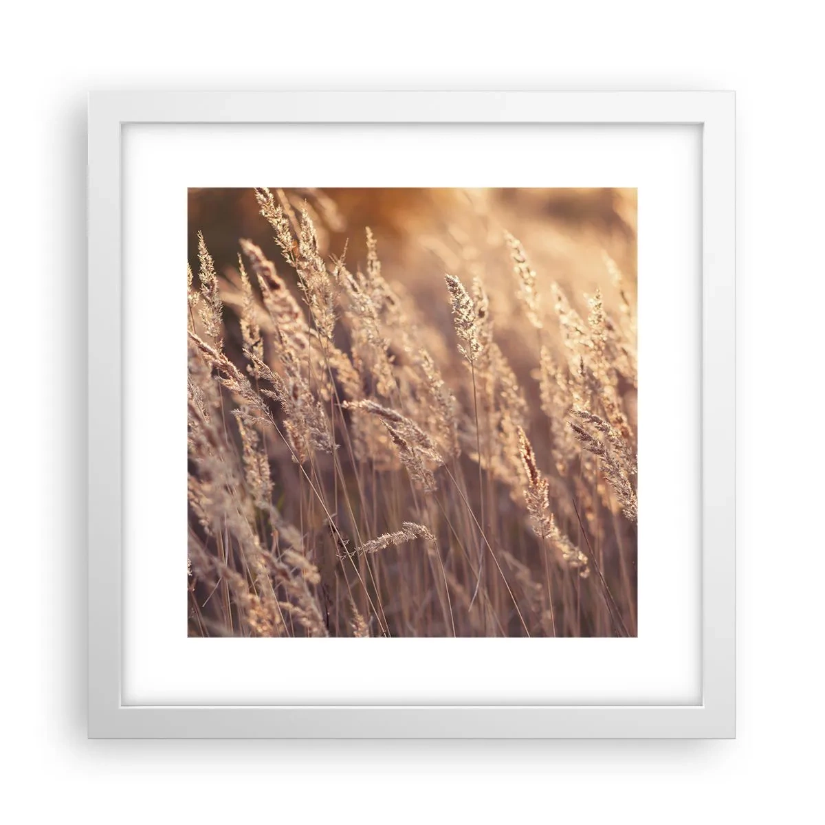 Poster in white frmae - Ready to Welcome Autumn - 30x30 cm