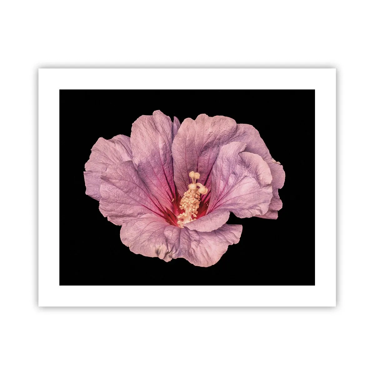 Poster - Straight from the Heart - 50x40 cm