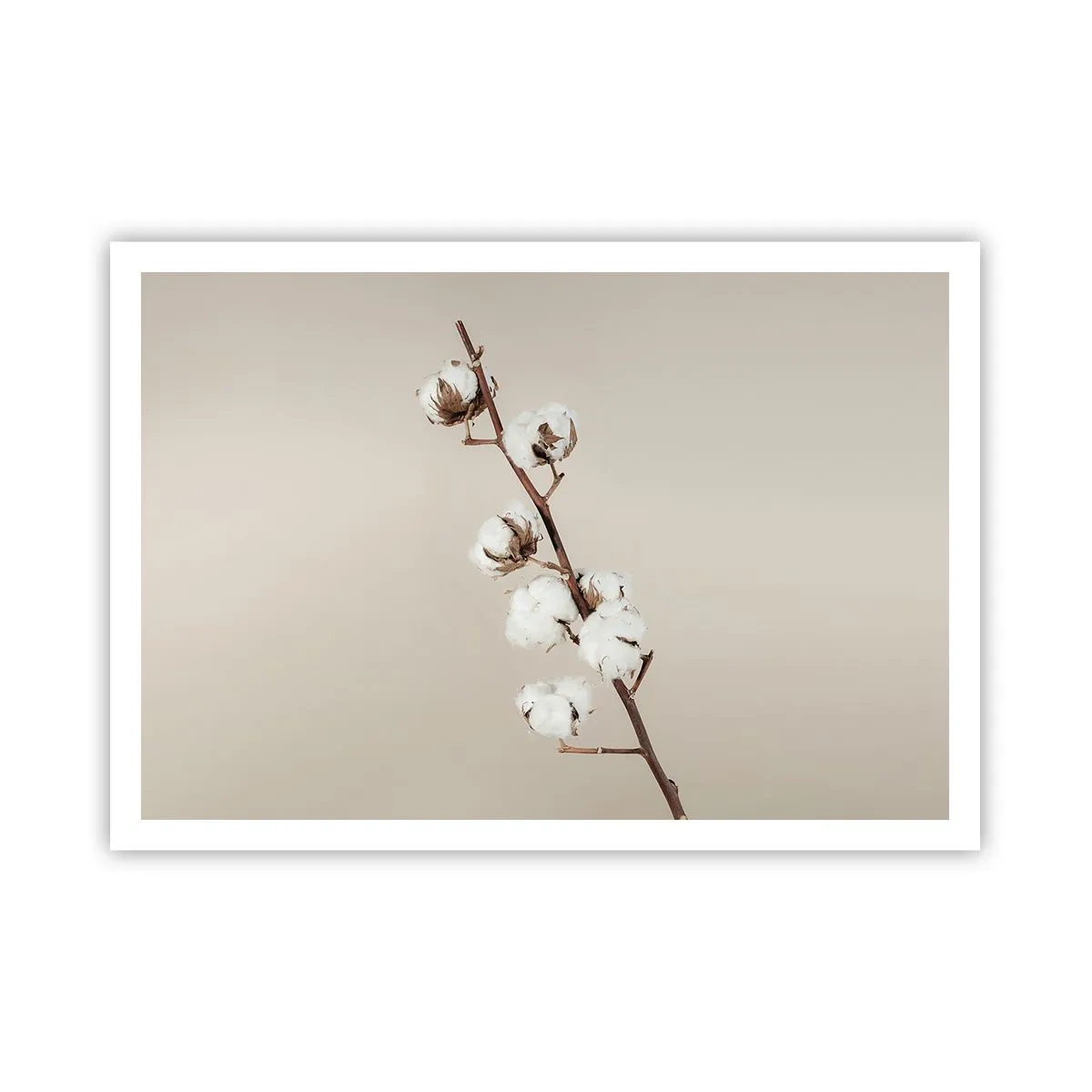 Poster - At the Heart of Softness - 100x70 cm