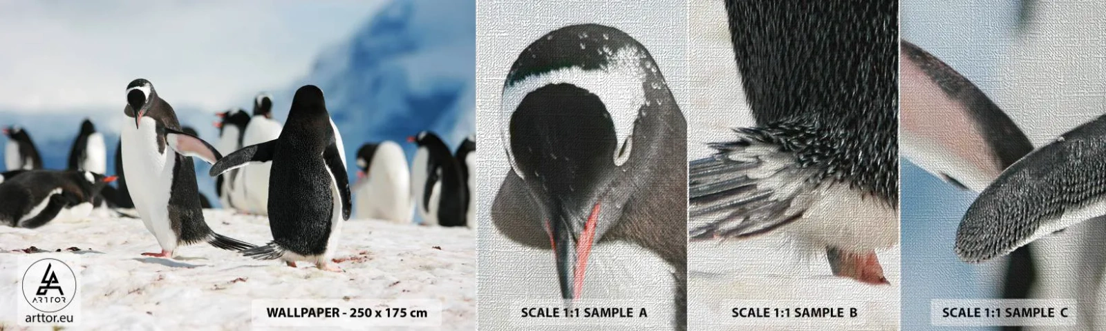 Photo Wallpaper Sample Premium Canvas - Dance in the Snow - Penguin, Antarctica, Landscape - 100x30 cm