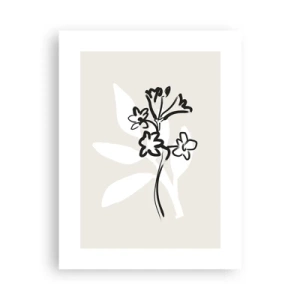 Poster - Sketch for Herbarium - 30x40 cm