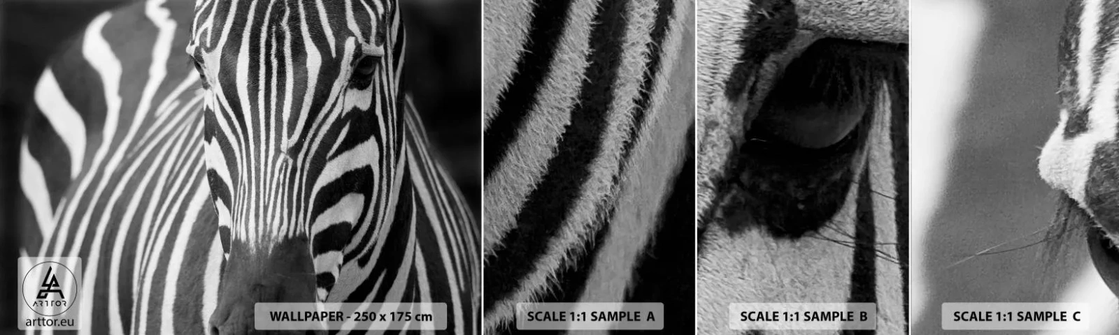 Photo Wallpaper Sample Self-Adhesive Deluxe Sticker - World Is Black and White - Animals, Ribs, Black and white - 100x30 cm