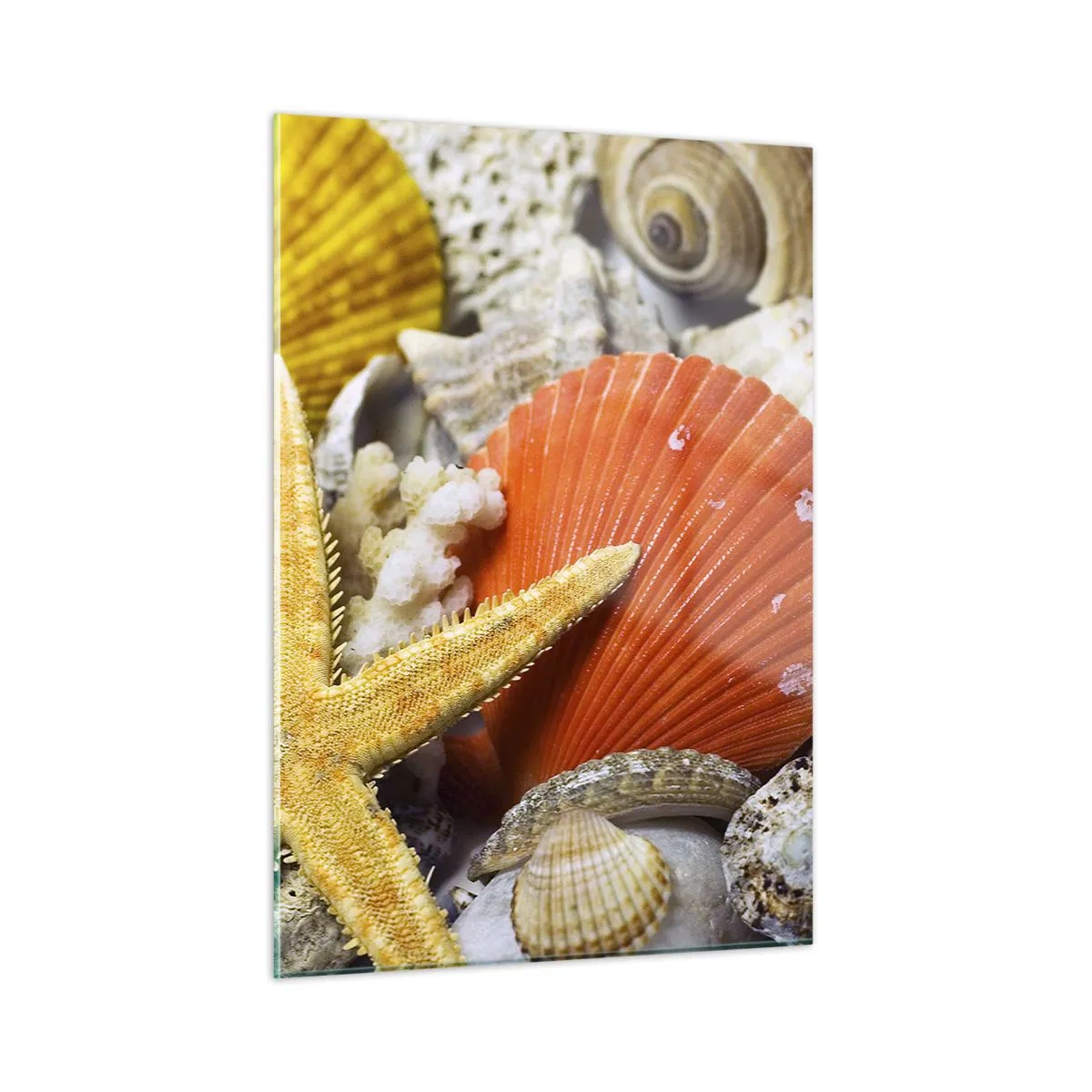 Glass picture - Treasures of the Ocean - 50x70 cm
