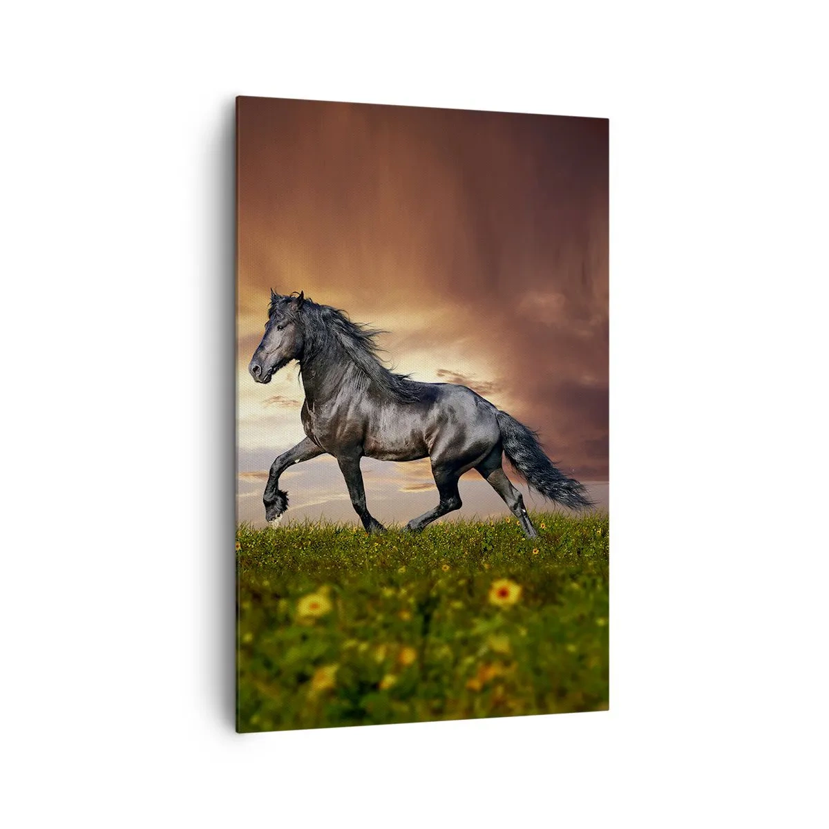 Canvas picture - Black Prince - 80x120 cm