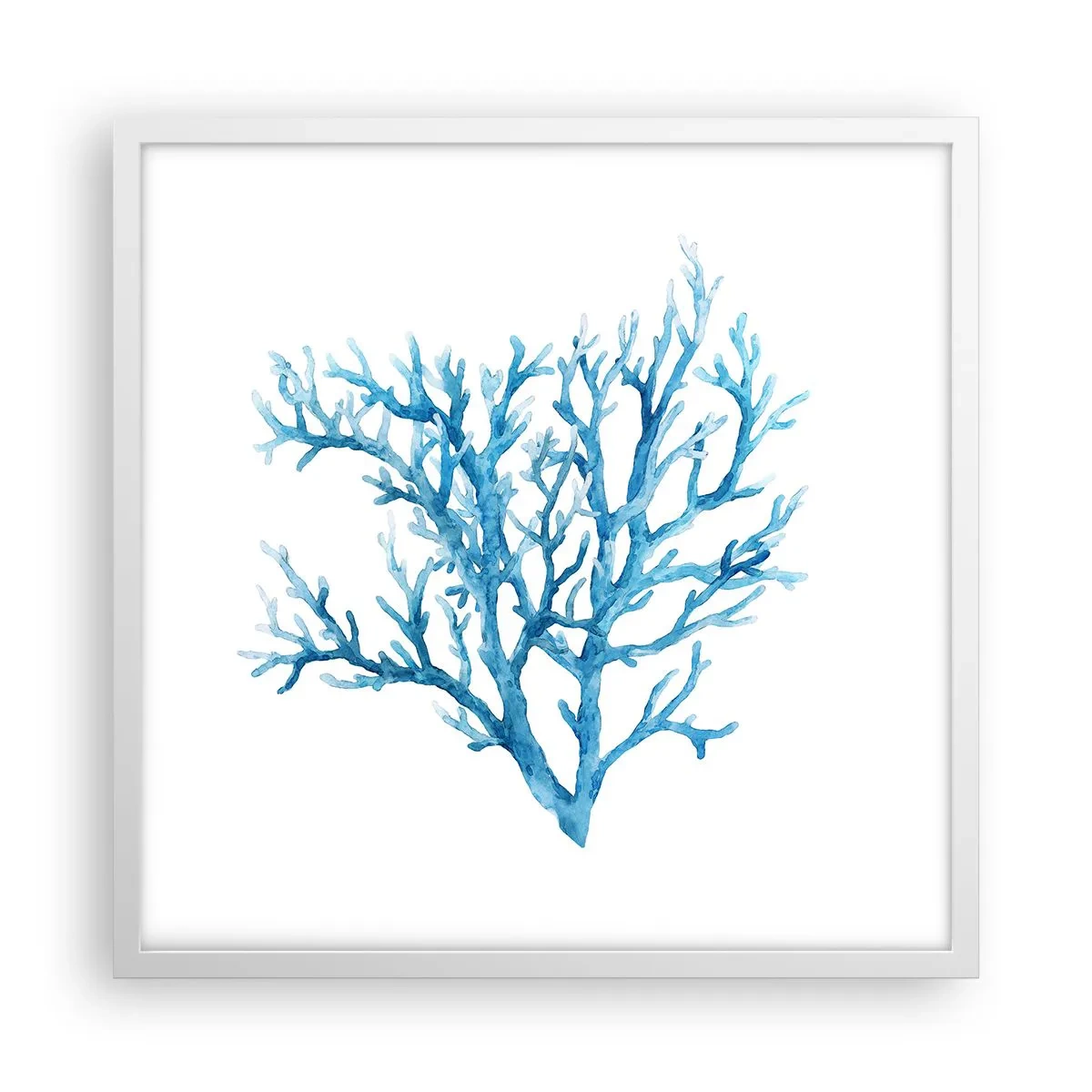 Poster in white frmae - Sea Filigree - 50x50 cm