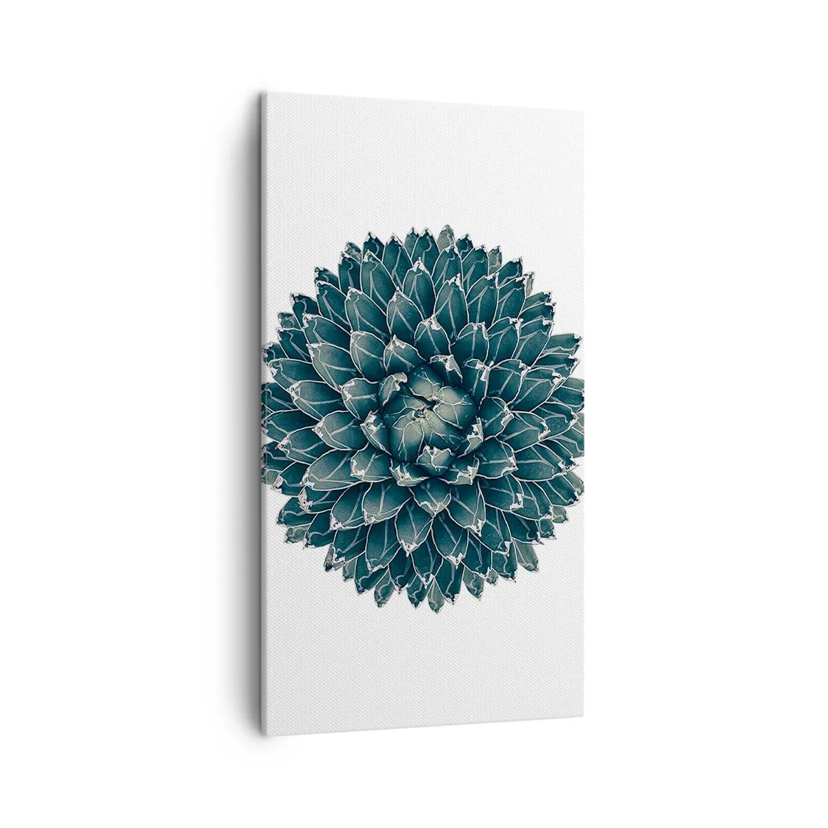 Canvas picture - Star of the Desert - 45x80 cm