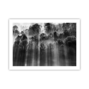 Poster - In the Streams of Light - 70x50 cm