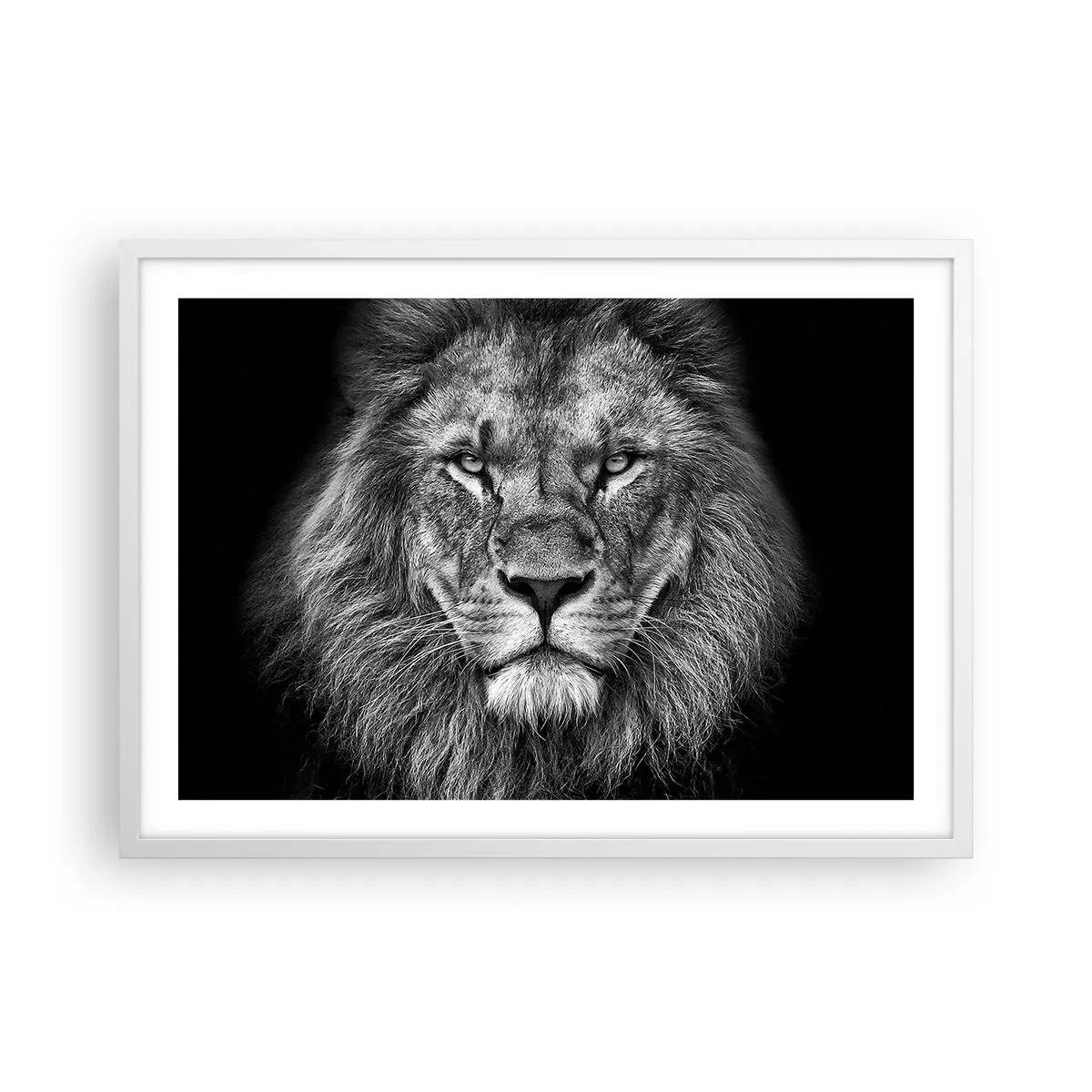 Poster in white frmae - In Coronation Clothes - 70x50 cm