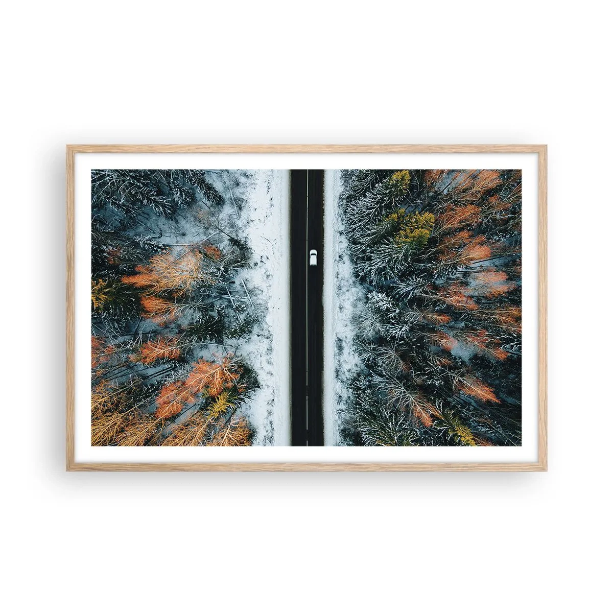 Poster in light oak frame - Through a Wintery Forest - 91x61 cm
