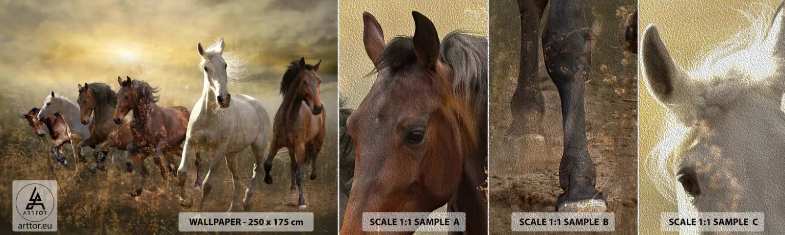 Photo Wallpaper Sample Premium Sand - Long Live Freedom! - Animals, Horse, Gallop - 100x30 cm