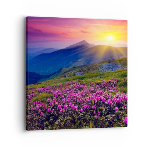 Canvas picture - Surrounded by Mountain Pine and Herbs - 30x30 cm