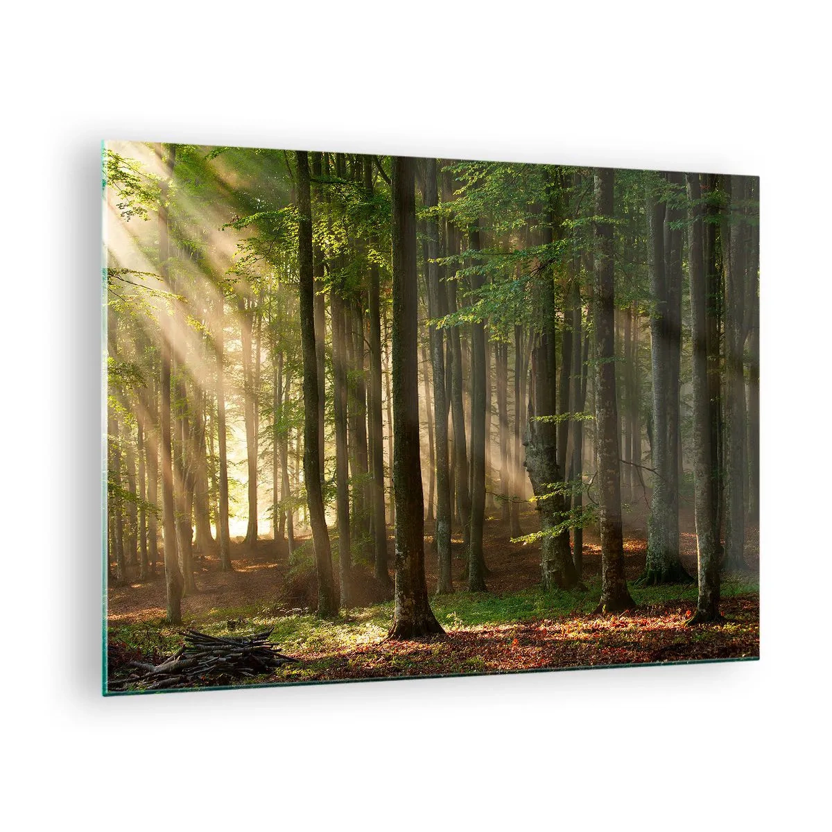 Glass picture - Sun rays shining through the trees in the forest - 70x50cm - Beaming in Spring Morning - Modern wall decoration for the living room and bedroom ARTTOR
